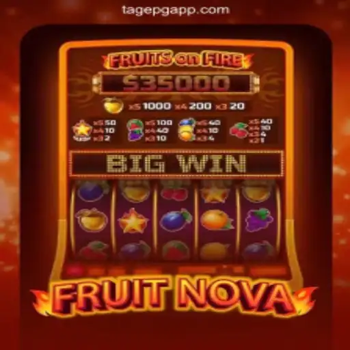 TAGEPG.com O cassino mais confiável do Brasil, um operador certificado pela IBIA.⚡ Lottery Games